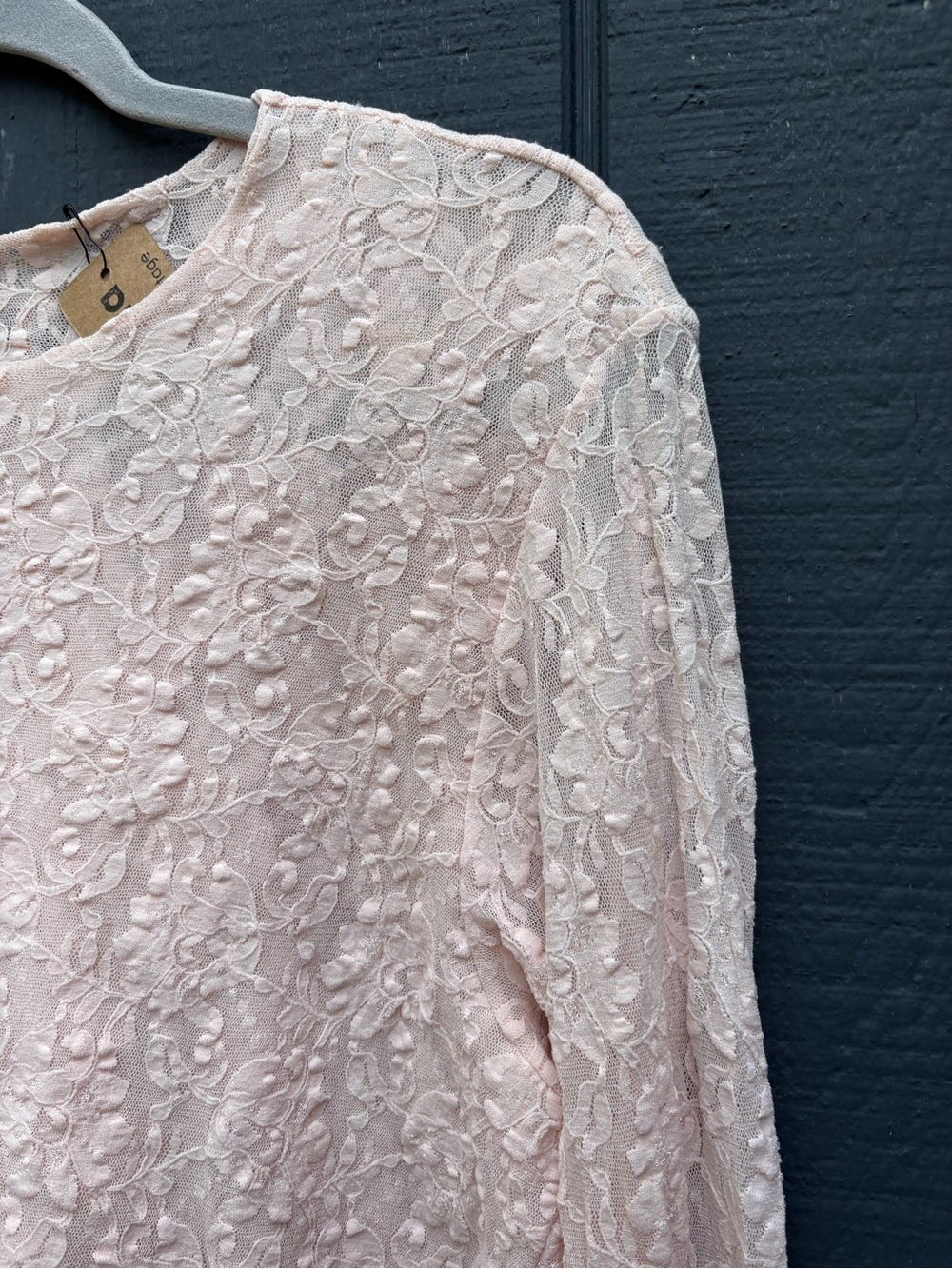 Vintage Pale Pink Lace Long-Sleeve Crop Top - Picture 3 of 4